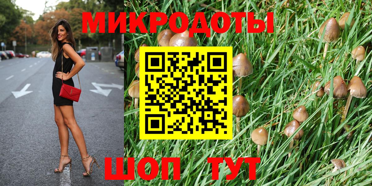Псилоцибиновые грибы мухоморы Рязань