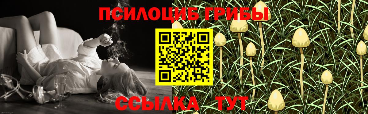 Рязань  Галлюциногенные грибы прущие грибы  Вход с VPN  Псилоцибиновые грибы мухоморы 